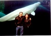 tom-niki-mystic-beluga whale tank.jpg